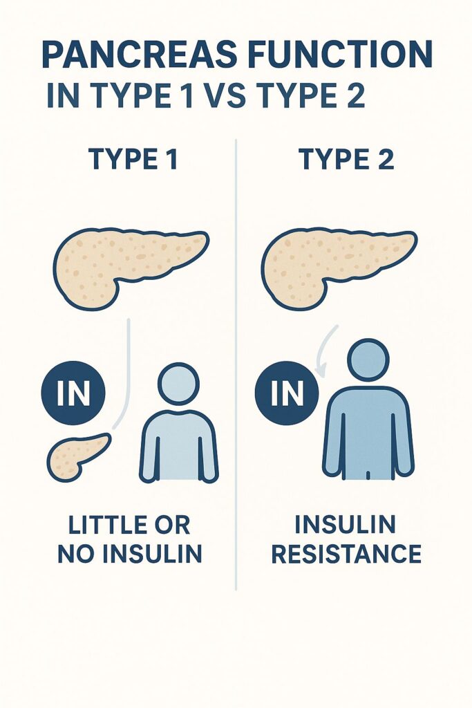 Type 1 vs Type 2 Diabetes in Adults